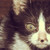 :iconrax-chan: