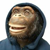 :iconraxanimasi: