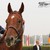 :iconray-of-hope-ak: