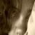 :iconraya17: