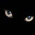 :iconrayleighzero: