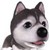 :iconraymanfan876: