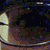 :iconraymoreclef: