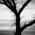 :iconraynaleaphotography: