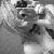 :iconrayneedays: