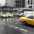 rayondelune :iconrayondelune: