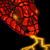 :iconrayphear: