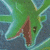 :iconrayquaza2007: