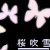 :iconraytotchi: