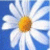 :iconraywilliams: