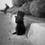 rayz0101 :iconrayz0101: