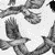 :iconrazerblade07: