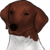 :iconrazorblade12: