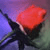 :iconrazorbladepoetry: