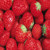 :iconRazzberry-chan:
