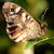 :iconrb-stockphotos: