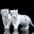 :iconrbrtpendragon: