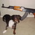 :iconrcx56: