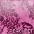 :iconreach-it: