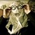 :iconreadyaimfirephoto: