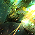 :iconrealcrow: