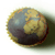 :iconrealitart: