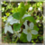 :iconrealitys-maze: