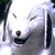 :iconrealllyconfused: