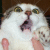 :iconReallyTallMidget: