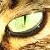 :iconrealm-of-rascal: