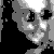 :iconrealny: