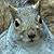 :iconrealphixion:
