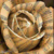:iconreamgendia: