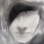 :iconreamus:
