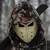 :iconreaper1031: