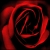 :iconreaperscurse: