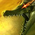 :iconreapinggfx: