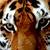 :iconrebel-tigress: