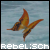 :iconrebelisch: