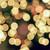 :iconrebellesfleurs: