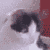 :iconrebellion991: