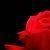 :iconrebelwriter08: