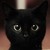 :iconreborn48: