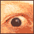 :iconrebornninja:
