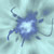 :iconrecharged-ki: