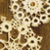 :iconreclusivegrapher: