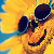 :iconrecycledpaper: