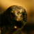 :iconred--forest: