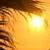 :iconred--light: