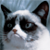 :iconred--scarf: